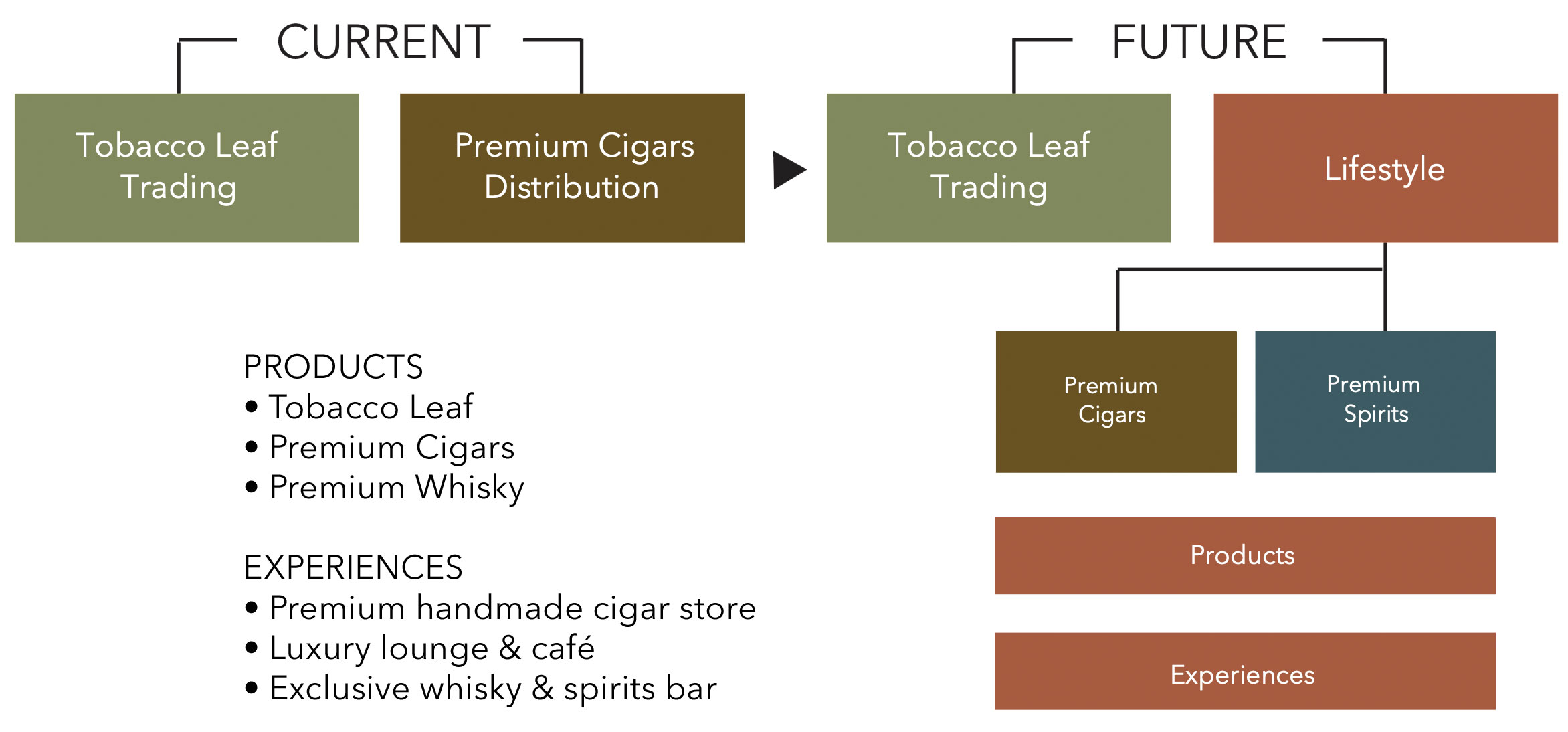 Diagram of the group's current structure and its planned transformation